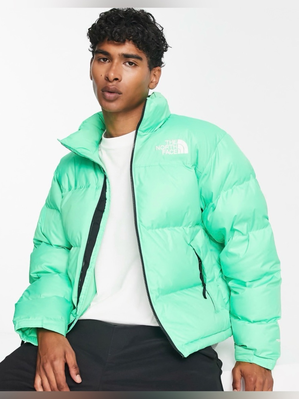 The North Face 1996 Retro Nuptse Chlorophyll Size Large NWT